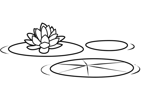 Water Lillies Coloring Page